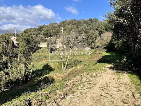vente terrain 2594 m² à arbellara (20110)  140 000 €