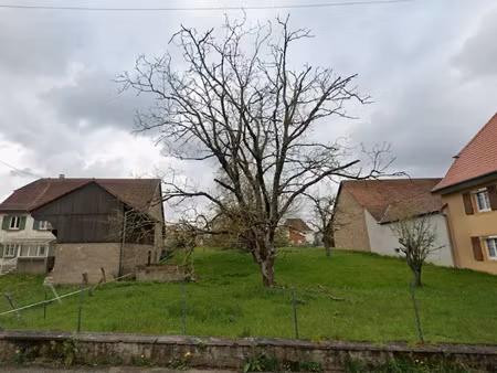 vente terrain 396 m² à aspach-le-bas (68700)  92 000 €
