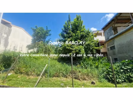 vente terrain 245 m² à saint esprit (97270)  133 200 €