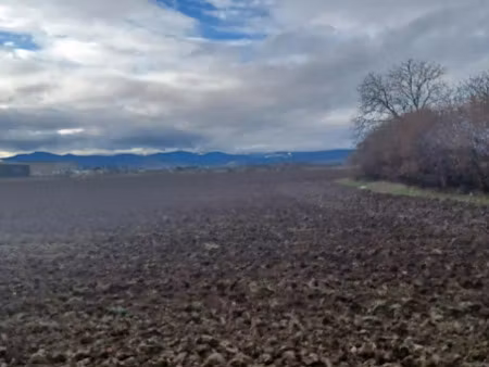 vente terrain 310 m² à bischwihr (68320)  83 700 €