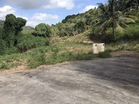 vente terrain à batir 566 m² à sainte luce (97228)  110 000 €