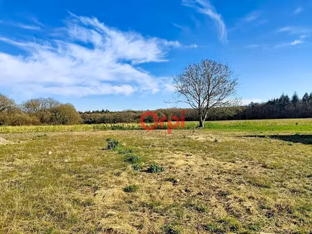 vente terrain à batir 1302 m² à trédion (56250)  99 500 €