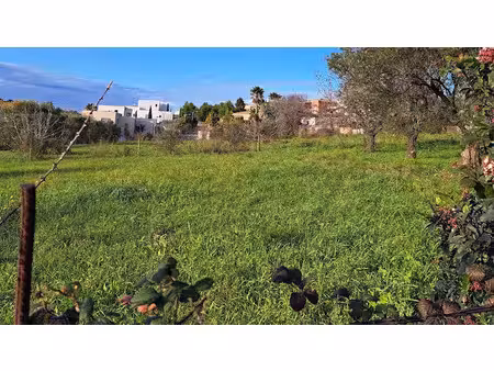 vente terrain 1429 m² à castries (34160)  299 000 €