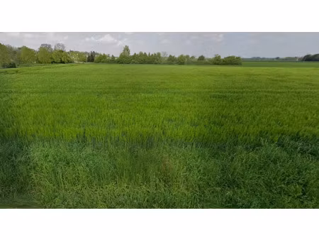 vente terrain 512 m² à schlierbach (68440)  120 000 €