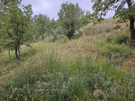 vente terrain 1338 m² à saint-paul-en-forêt (83440)  155 000 €
