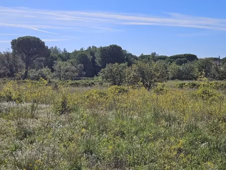 vente terrain 622 m² à puget-sur-argens (83480)  250 000 €