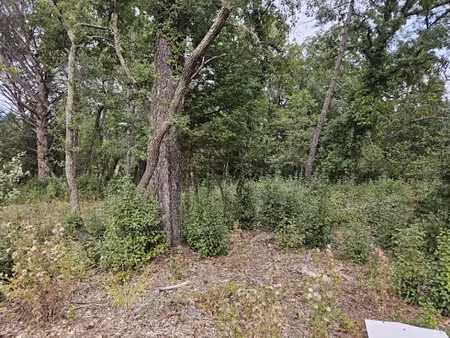 vente terrain 1545 m² à tourrettes (83440)  240 000 €