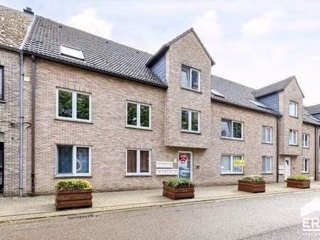 appartement à louer à tessenderlo € 800 (lldtc) - era de piramide (beringen) | zimmo