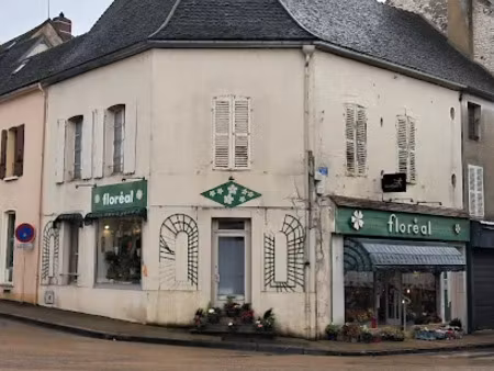 vente immeuble 124 m² à brienon-sur-armançon (89210)  70 000 €