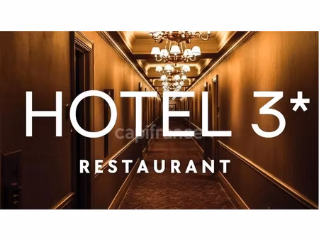 vente locaux professionnels 880 m² à yvoy-le-marron (41600)  1 575 000 €