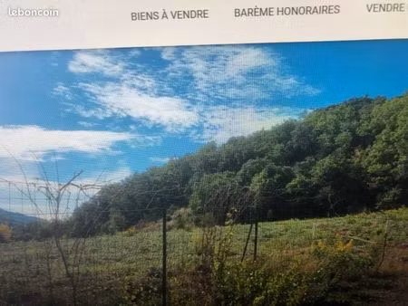 terrain constructible + parcelles boisées