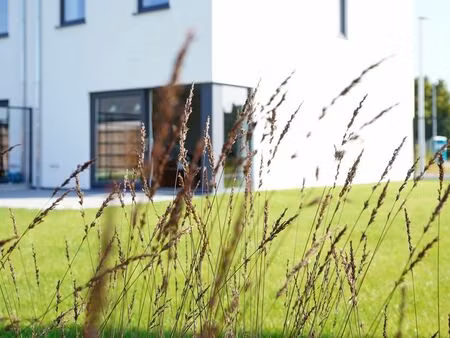 maison à louer à deerlijk € 1.050 (l8wuz) - steven pattyn | zimmo