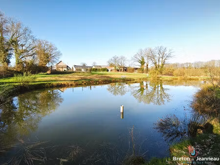 propriété sur 2 ha 31 avec plan d'eau à javron les chapelles