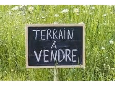 vente terrain 4681 m² oyré (86220)
