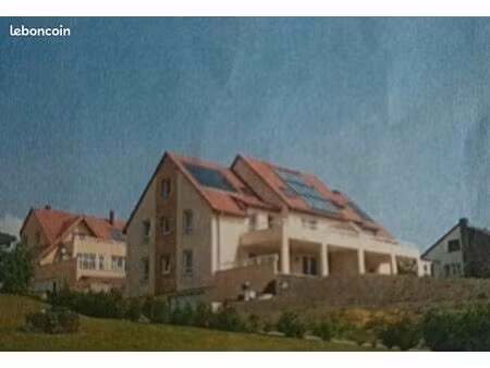 appartement sous les combles 2 pièces