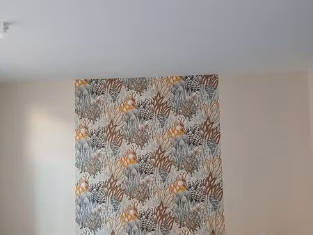 appartement a louer au bourg de belmont à côté de la pharmacie et boulangerie adapté pour 