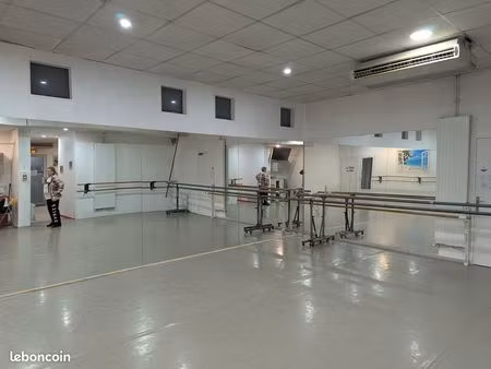 local commercial ou professionnel 69003-69100