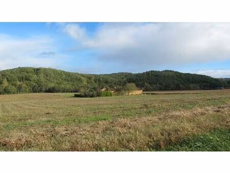 maison restaurée au calme avec dépendances et terrain