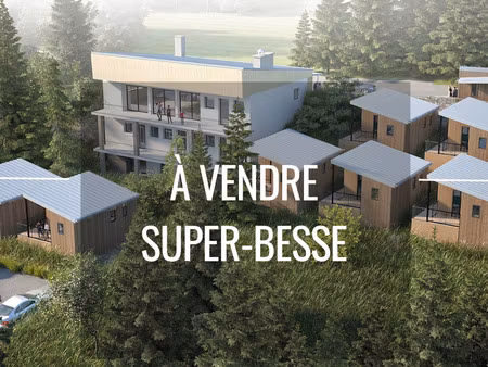 super-besse a vendre chalet d'altitude découpé en 5 appart
