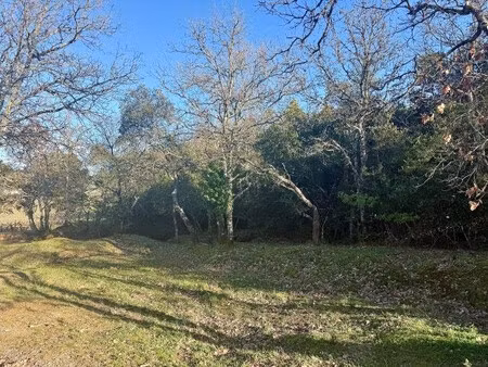 à vendre terrain boisé 5270 m² à gonfaron