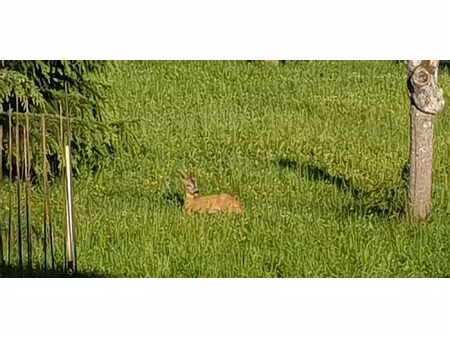 terrain à vendre mareil-sur-mauldre