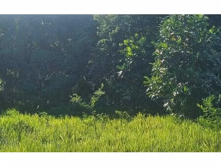 terrain petit-bourg m² t- à vendre  90 000 €