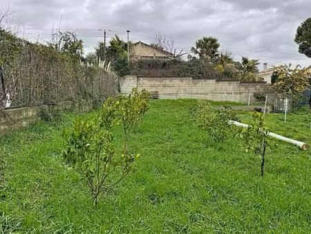 terrain constructible