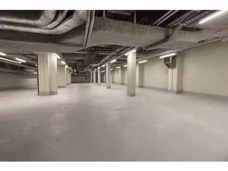 local professionnel - 150m ²