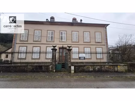 vente maison 10 pièces 255 m² à saint-die-des-vosges (88100)  75 000 €