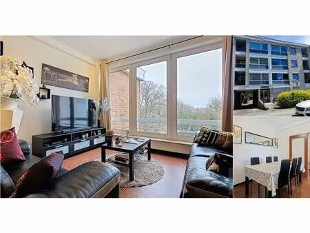 appartement à vendre à chaussée de châtelet 59 gilly (vbd91053)