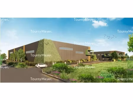 local d'activites a louer