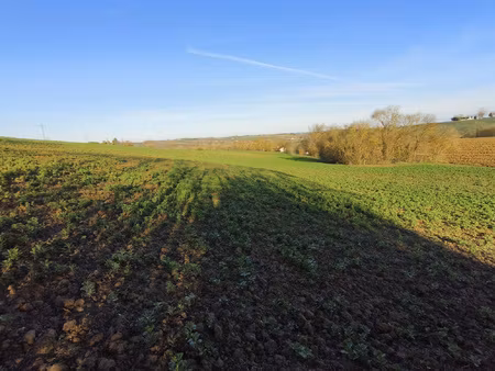 terrain de 2898 m2 avec vue dégagée à 2 minutes du centre de