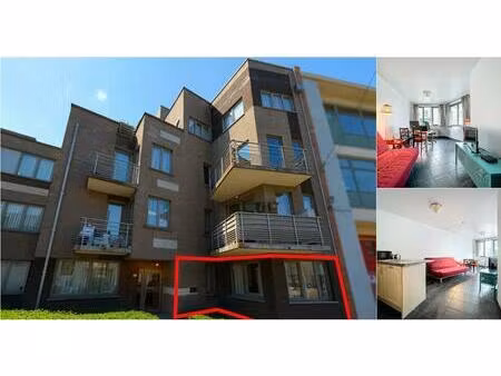 rez-de-chaussée à vendre à rue des faînes 243 neder-over-heembeek (vbd91152)