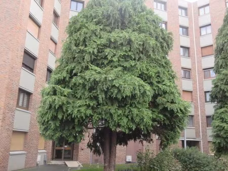 en vente appartement 61 m² – 65 640 € |montigny-en-gohelle