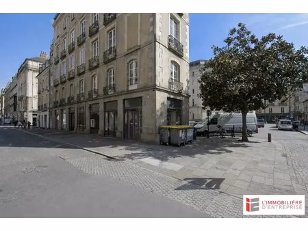 local commercial a louer