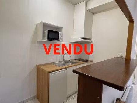 appartement 1 pièce 52 m²