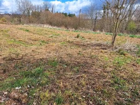 vente terrain 2109 m² condat-sur-ganaveix (19140)