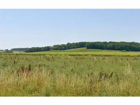 terrain à bâtir à sigoulès-et-flaugeac (24240)