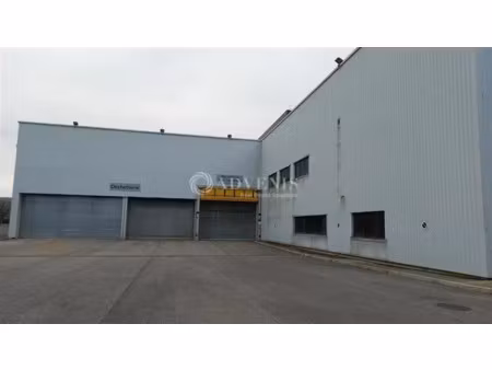 local d'activités a louer