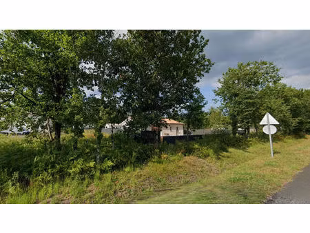 vente terrain à construire 503 m² brach (33480)