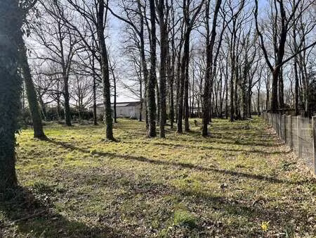 vente terrain à médis (17600) : à vendre / 1417m² médis