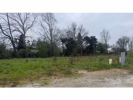 vente terrain 450 m² castres-gironde (33640)