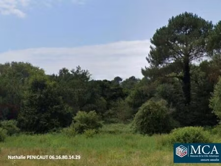 vente terrain 703 m² messanges (40660)