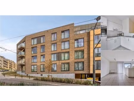 appartement à louer à rue saint-nicolas 1 neder-over-heembeek (vbd91278)