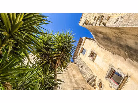 vente maison 7 pièces 280 m² remoulins (30210)