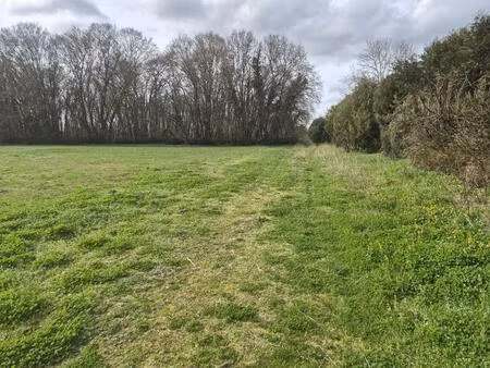 terrain à bâtir à gémozac (17260)