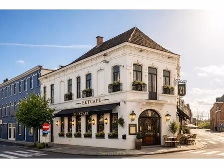 commercieel te koop in oudenaarde met 9 slaapkamers