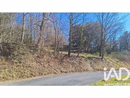 vente terrain à montferrer (66150) : à vendre / 24000m² montferrer