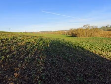 terrain constructible viabilisé à vendre