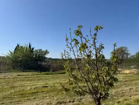 terrain de loisirs de 2600m² à vendre à collias (30) - environnement naturel privilégié